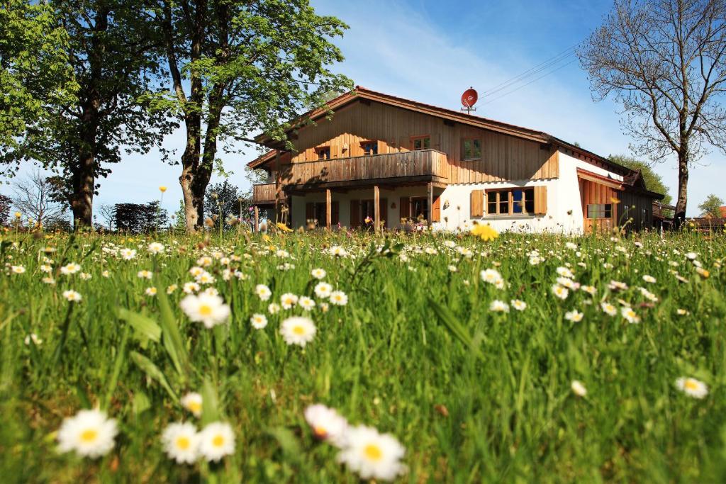 Luna Mia - Apartments Schwangau Kültér fotó